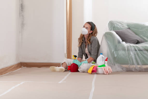 Reliable Mold Cleanup contractor in Upper Marlboro, MD by WQB Mold Removal